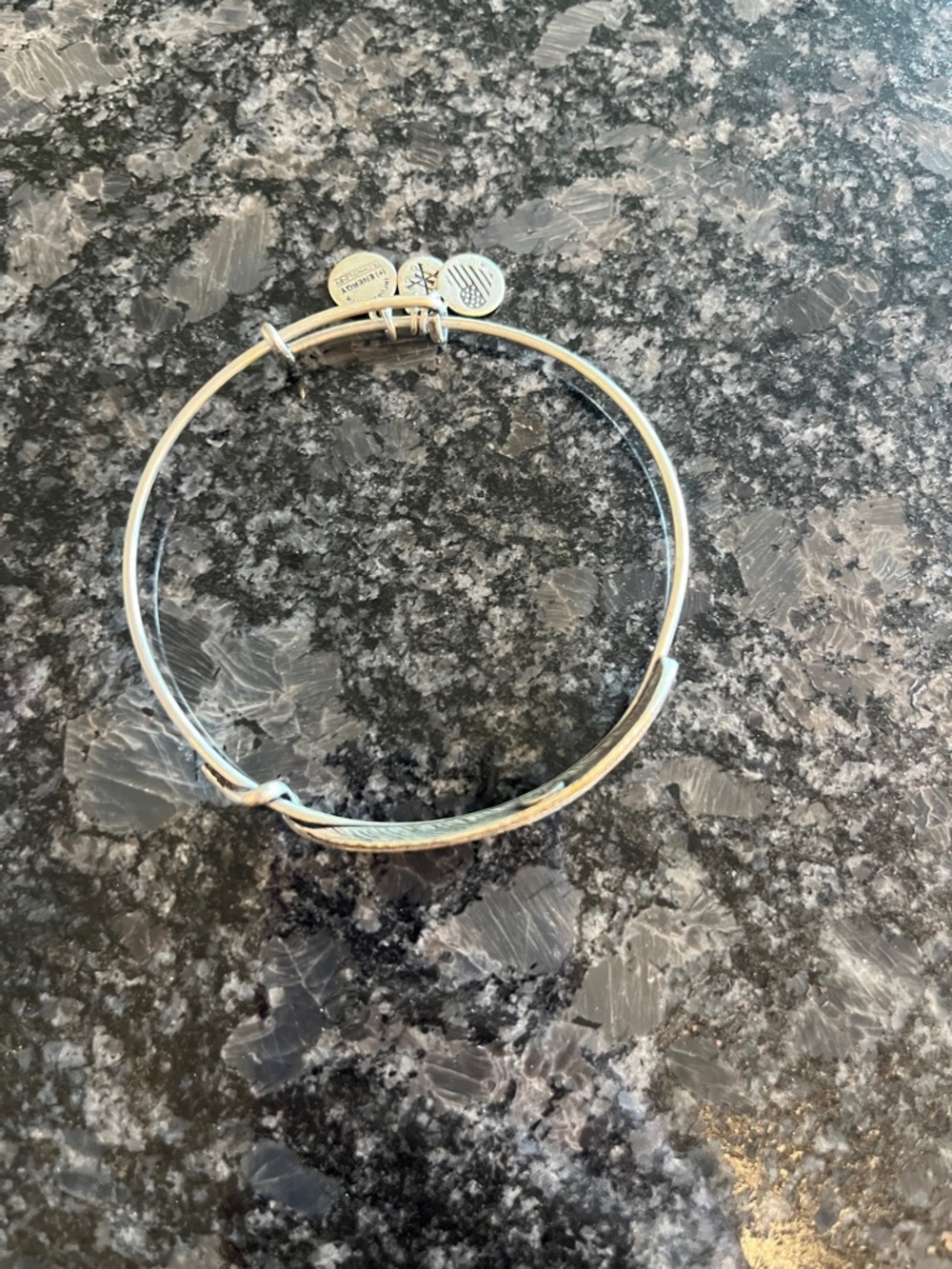 Alex and Ani Silver Bangle Bracelet with Feather Charm